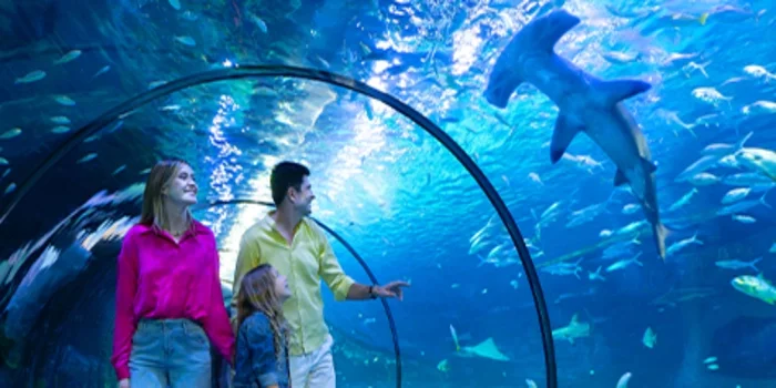The National Aquarium Abu Dhabi at Al Qana showing underwater tunnel with sharks and rays, family-friendly marine exhibit